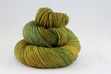 Citrusdal DK - Golden Canopy