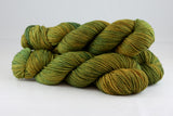 Citrusdal DK - Golden Canopy